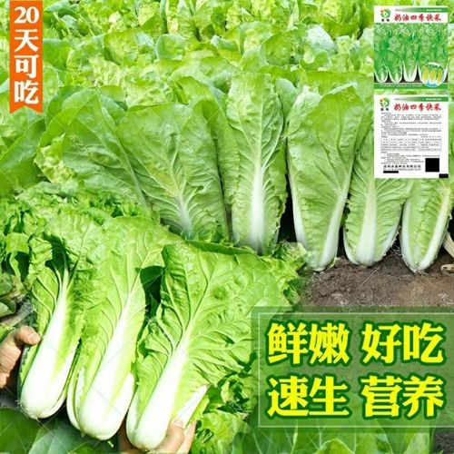 冬天的装饰品简笔画图片，很多人第一步就错了